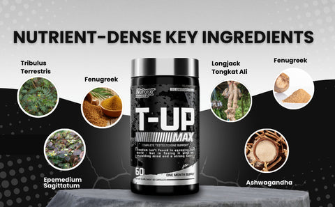 Nutrex T-Up Max Testo Booster 60 Caps Tribulus+Fenugreek+Maca+Tongkat Ali+Ksm66 Ashwagandha