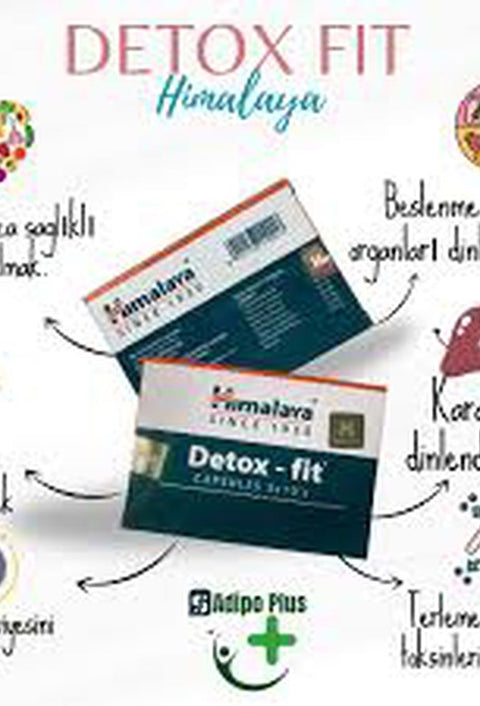 Himalaya Detox Fit 30 Kapsül